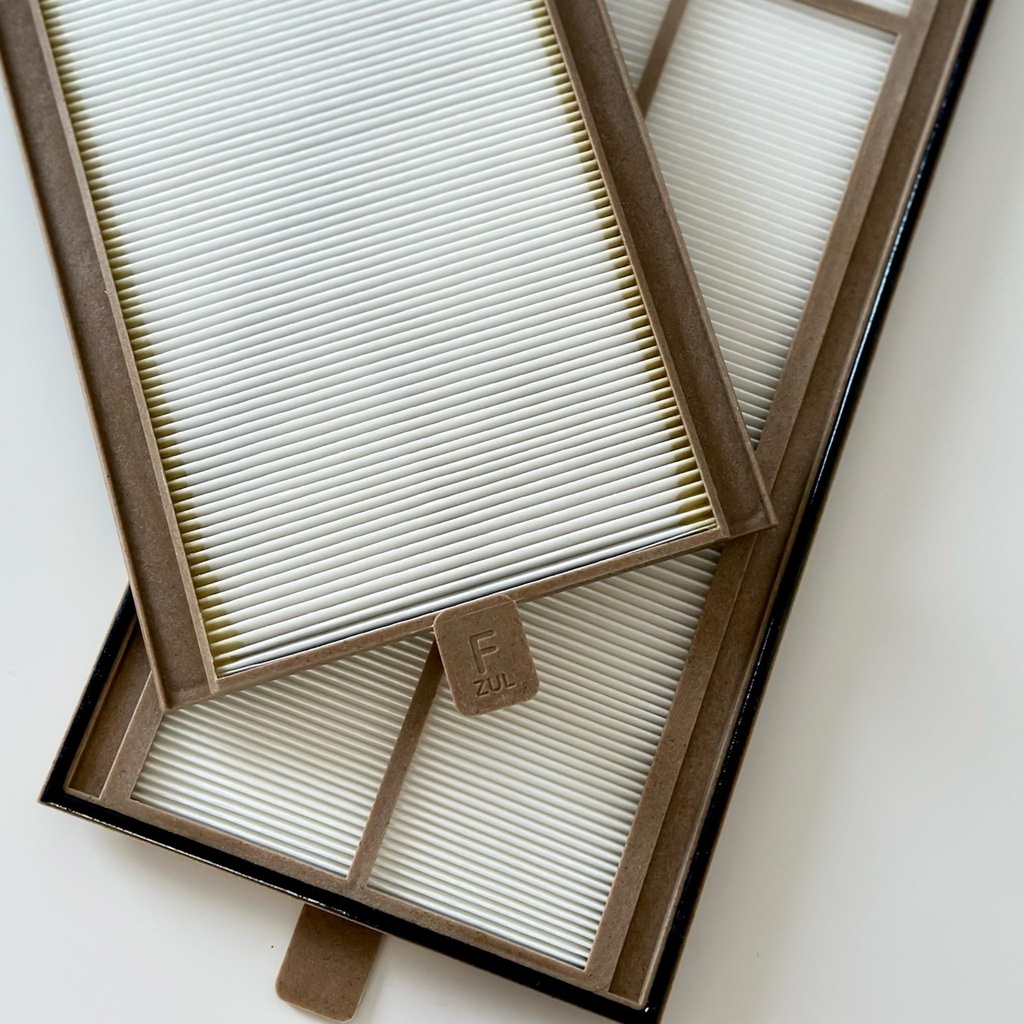 Ersatzfilter für Paul Santos 370, G4 + G4