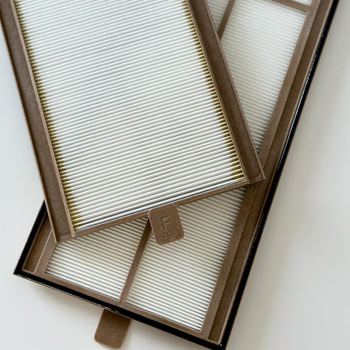 [FW0581] Ersatzfilter für Paul Santos 370, G4 + G4